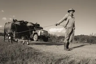 Foto 2 — Carreta Boiadeira Pastre Boiadeira 14,5m 2017