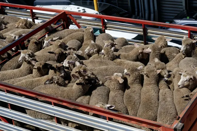 Carreta Boiadeira Noma Boiadeira 2 Pisos 2022 em Rio de Janeiro - RJ