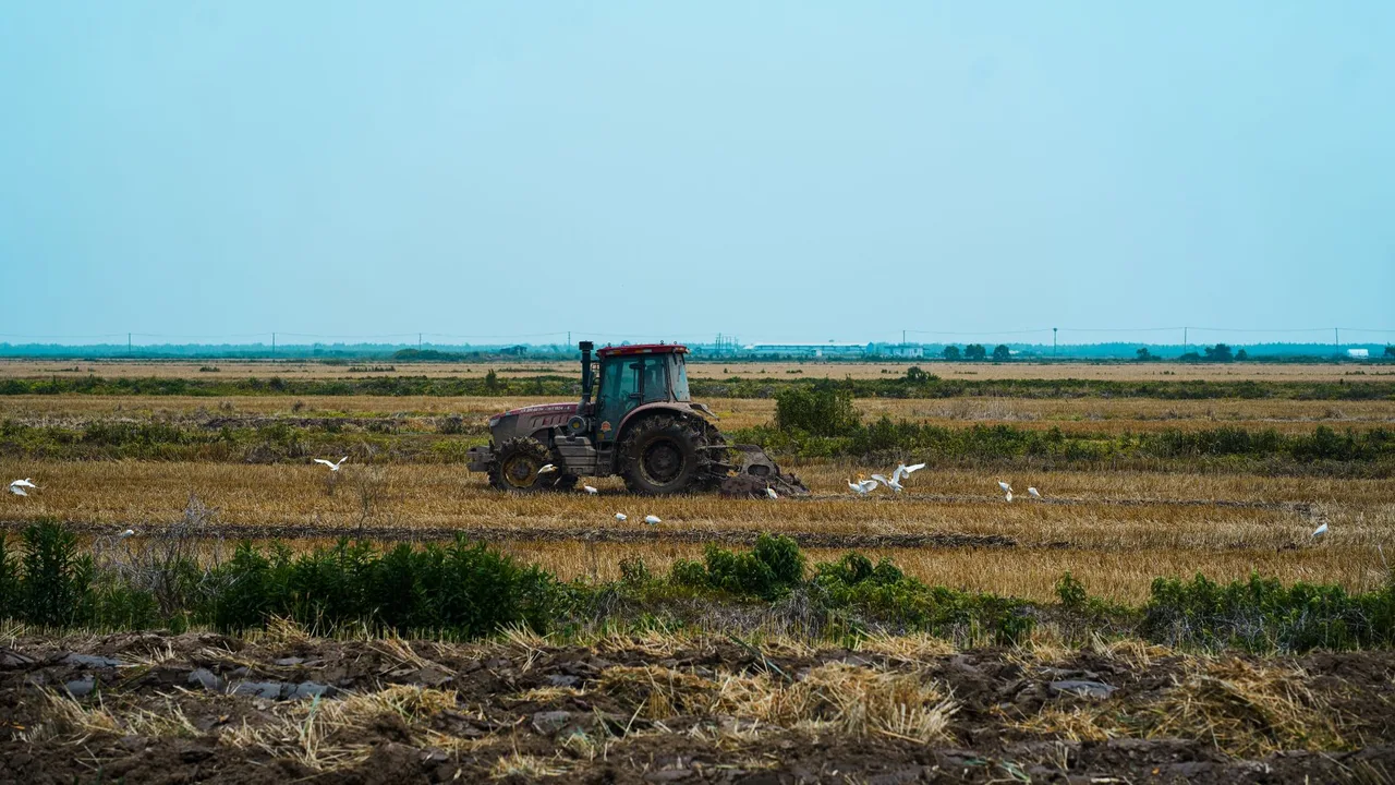 Trator Agrícola John Deere 6110J 2016 à venda em Cascavel - PR
