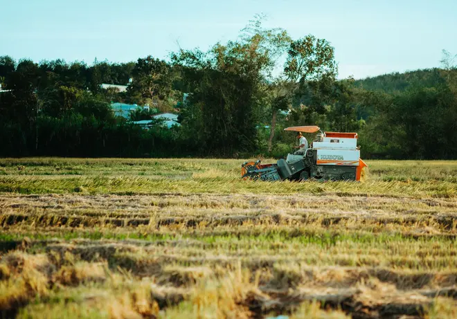 Colheitadeira New Holland TC5.30 2016 em Chapecó - SC