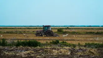 Plantadeira Jacto Meridian 1113 2015 — foto 1