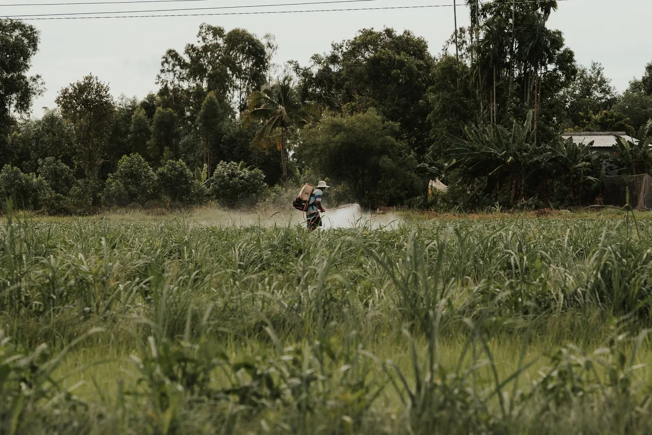 Pulverizador Autopropelido Case Patriot 350 2019 à venda em Maringá - PR