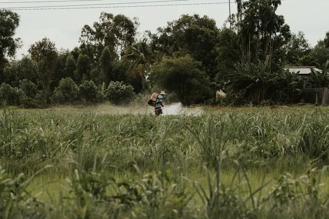 Pulverizador Autopropelido Case Patriot 350 2019 em Maringá - PR