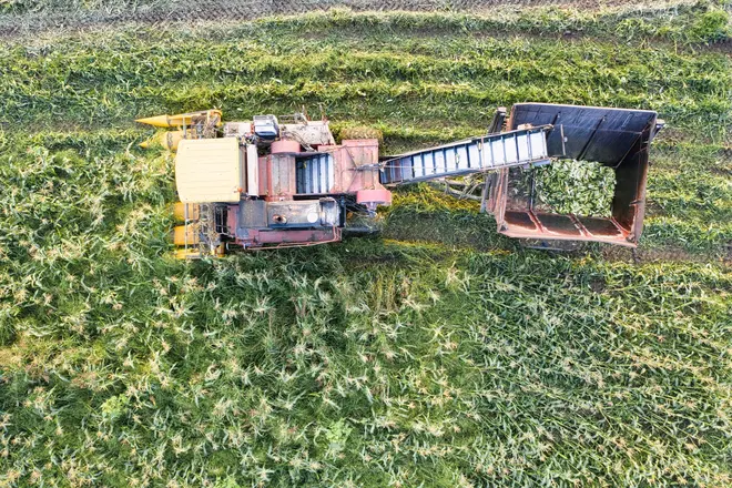 Plataforma de Colheitadeira John Deere 630F 2017 em Cuiabá - MT