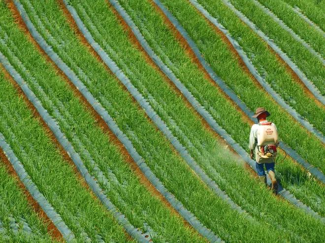 Distribuidor Autopropelido Stara Hércules 10000 2021 em Marabá - PA