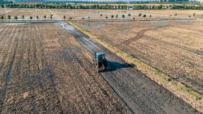 Implemento Agrícola Massey Ferguson Roçadeira 2,0m 2012 em São Paulo - SP