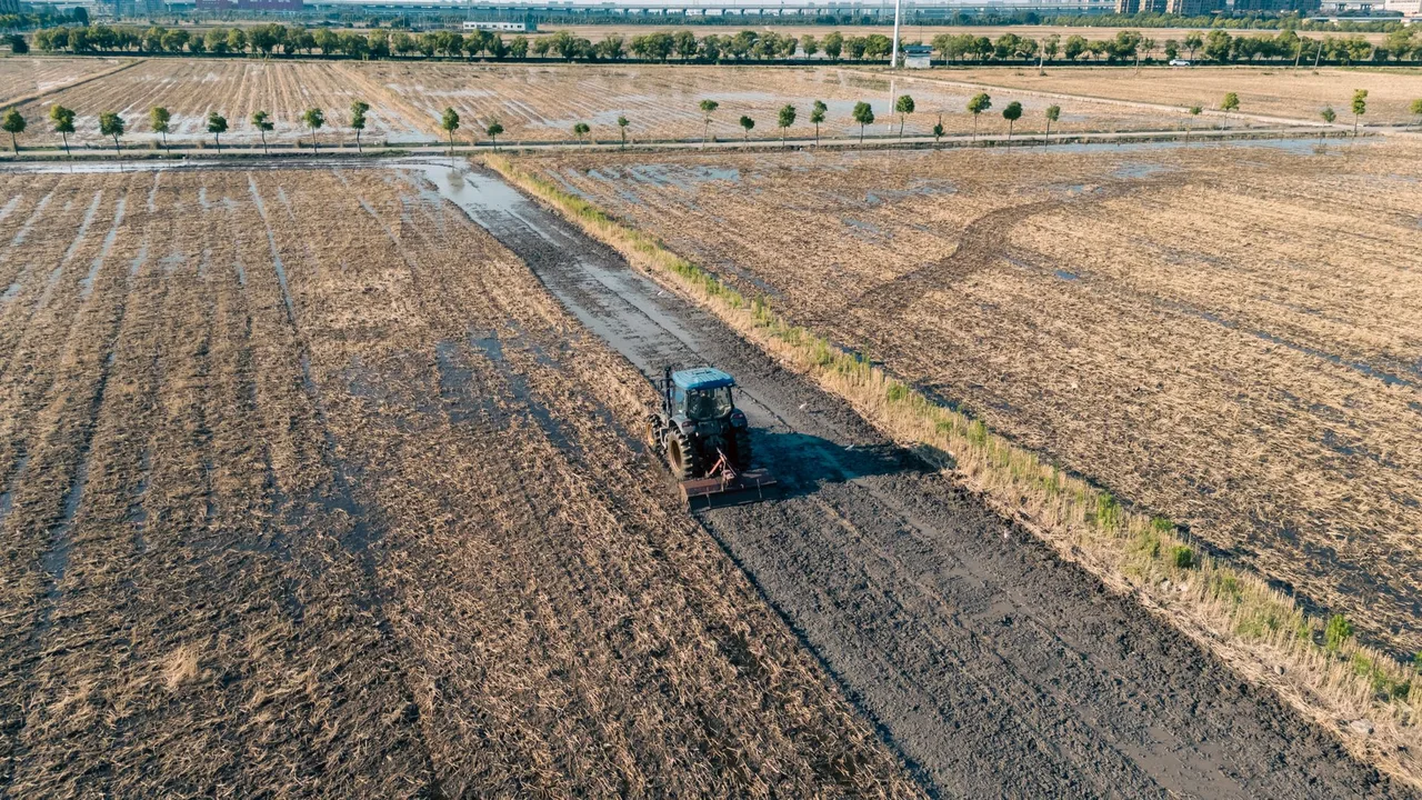 Micro Trator Agrale 4100 2018 à venda em Campo Grande - MS