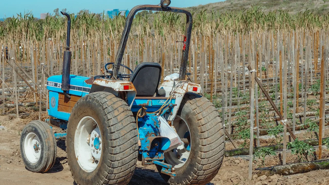 Micro Trator Agrale 4100 2018 à venda em Vitória - ES
